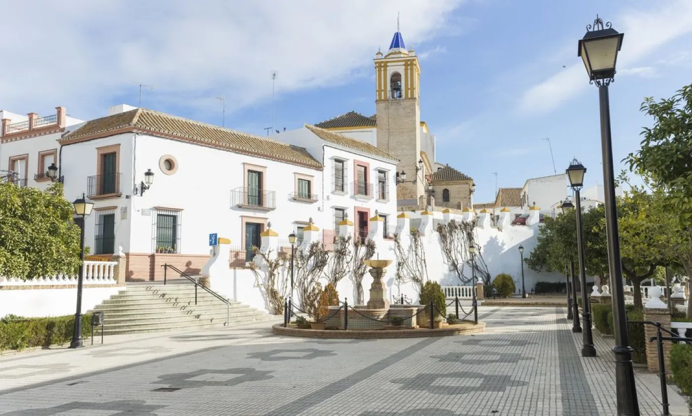 fontanero el viso del alcor